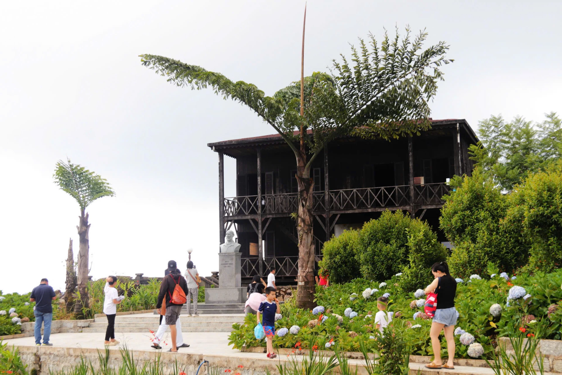 Go to Hon Ba to see flowers and grass